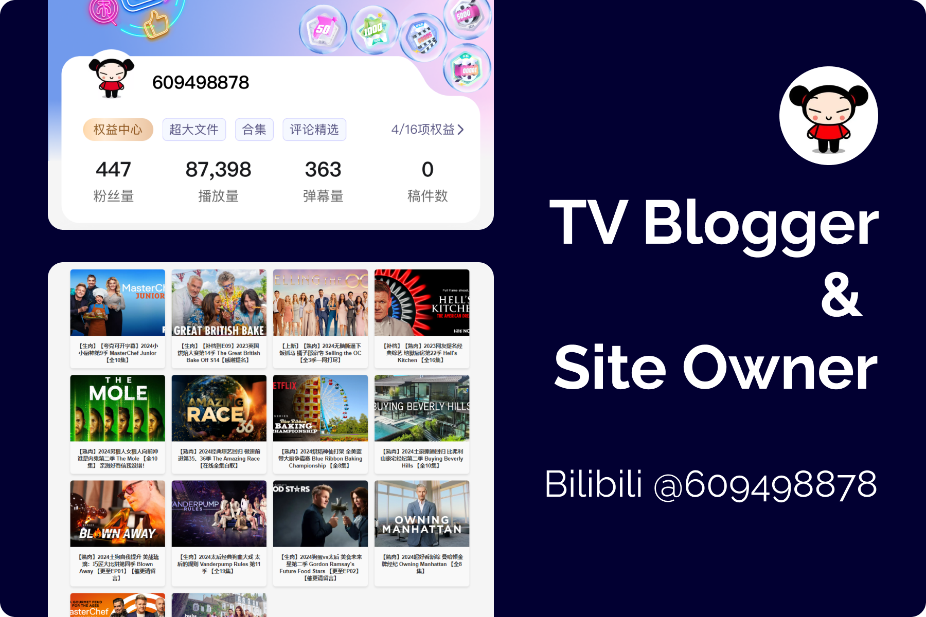 TV Blogger & Site Owner (2024)